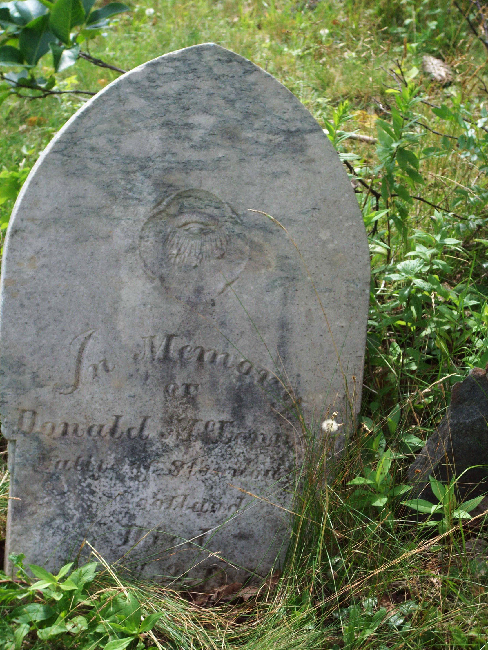 Photo of headstones/Donald McLennan d1874 hdstn Black Brook cem CB